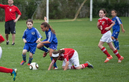 IMG 7546